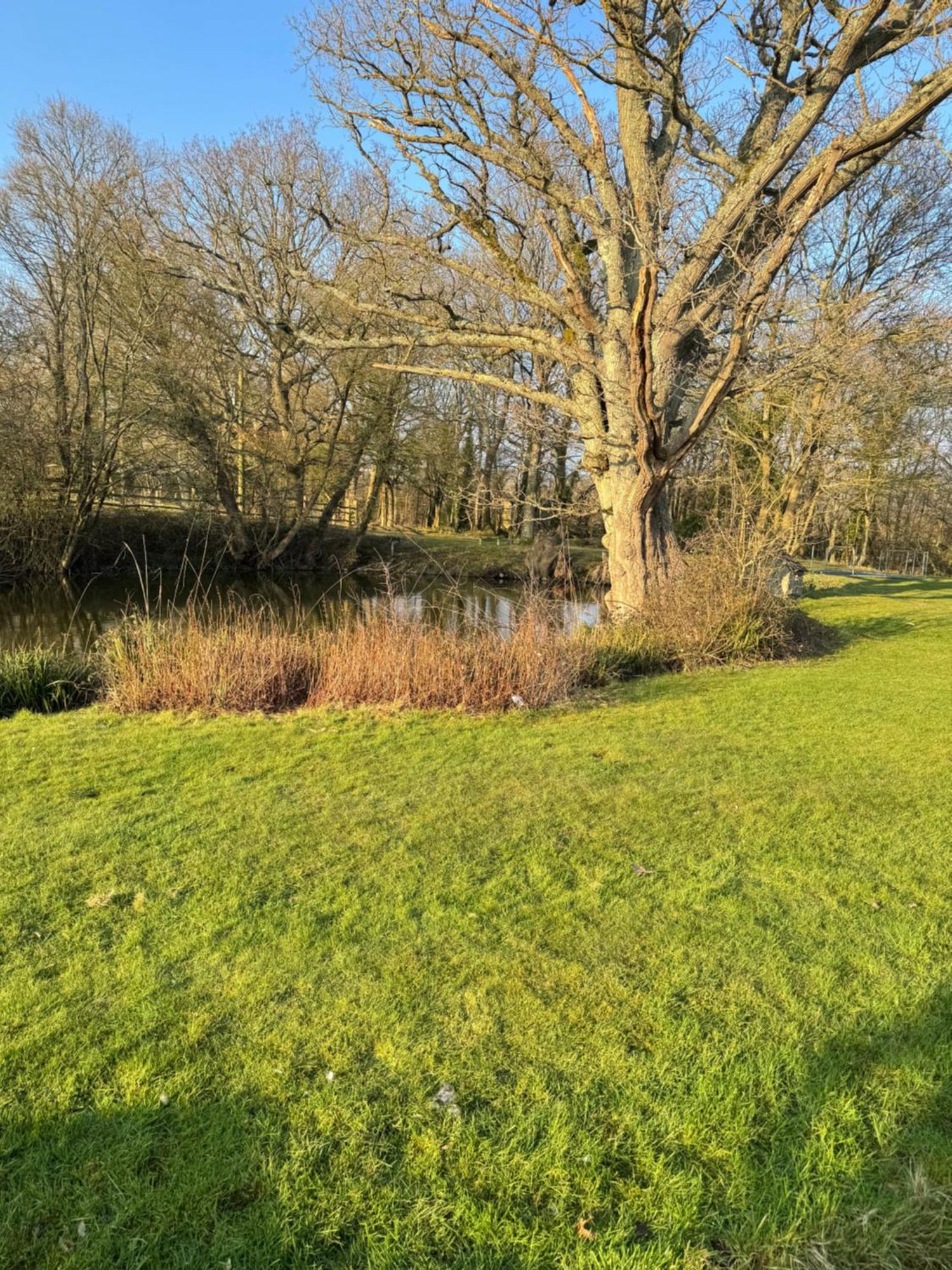 شقة Waters Edge Rolvenden المظهر الخارجي الصورة